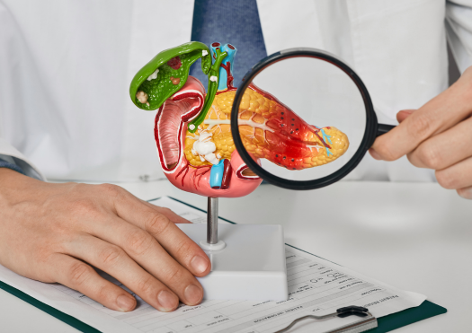 Gastritis & Ulcer Diseases